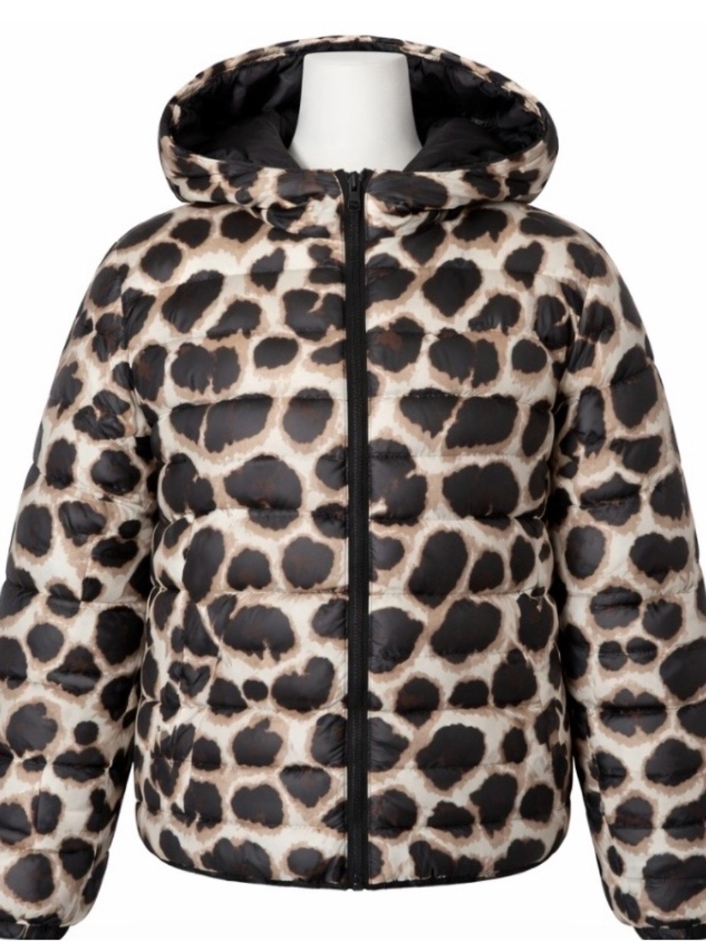 Leopard Print Coat Cropped Mob Wife Jacket Hooded  M Trendy Statement Chic